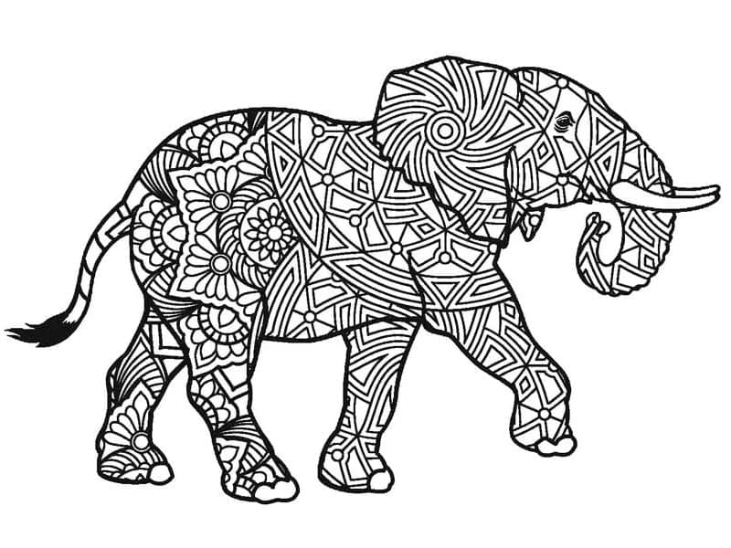 Desenho deElefante Zentangle para colorir