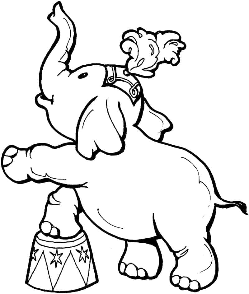 Desenho de Elefante de Circo para colorir