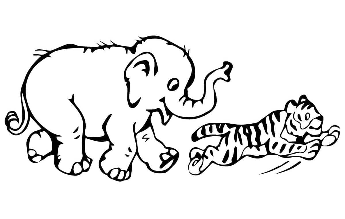 Desenho deElefante e Tigre para colorir