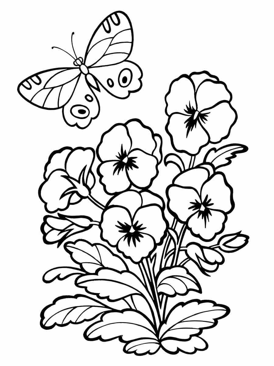 Desenho deFlores e uma Borboleta para colorir