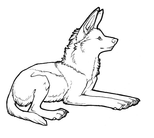 Desenho deFoto de Lobo-guará para colorir