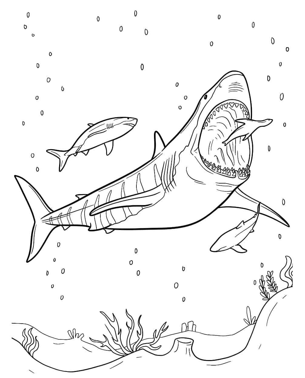 Desenho deFoto de Megalodon para colorir