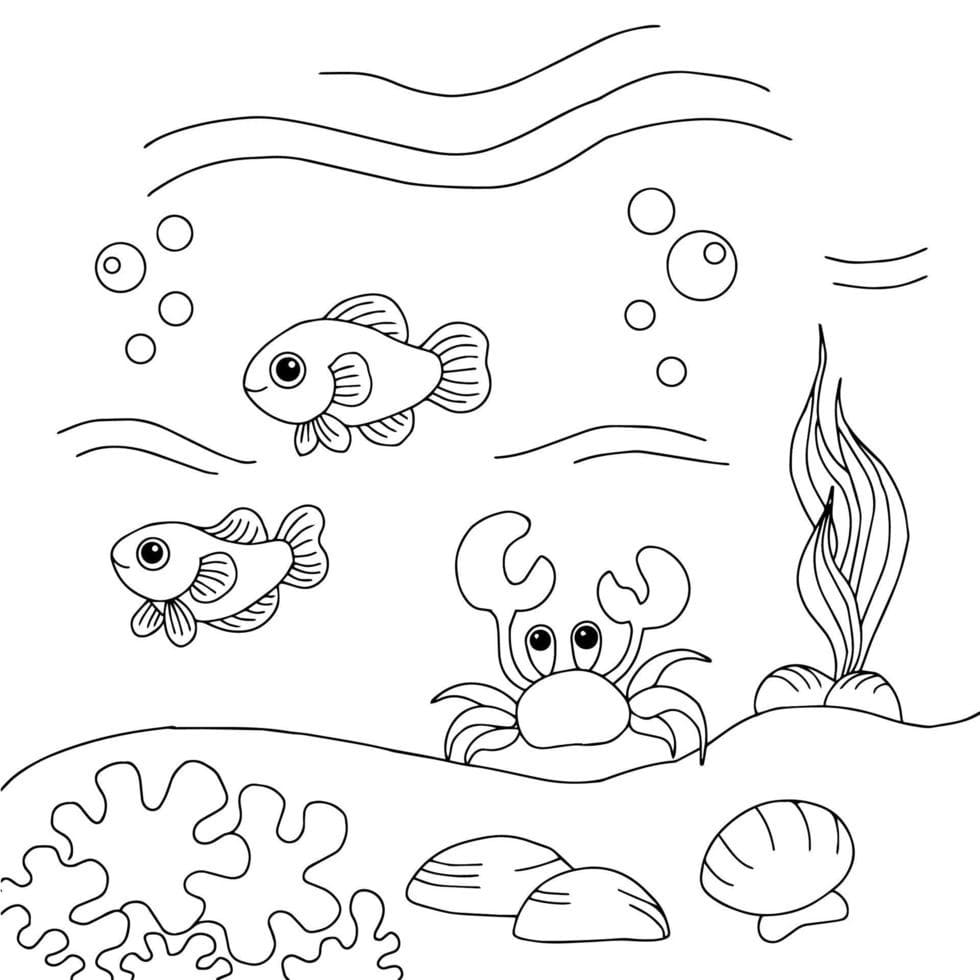 Desenho deFundo do Mar Para Crianças de 3 Anos para colorir