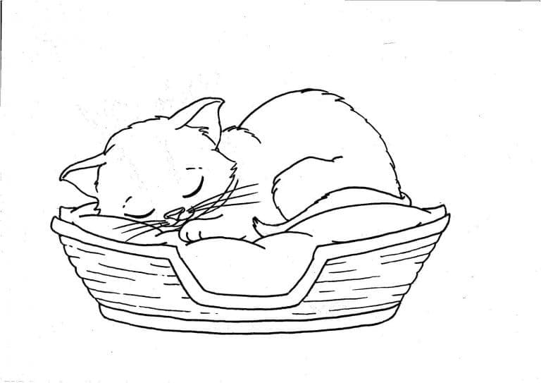 Desenho de Gatinho Dormindo para colorir