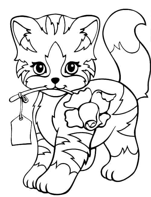 Desenho de Gatinho e Rosa para colorir