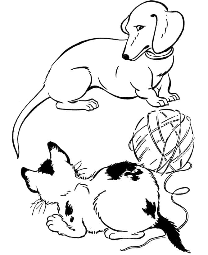 Desenho deGato e Cachorro 15 para colorir