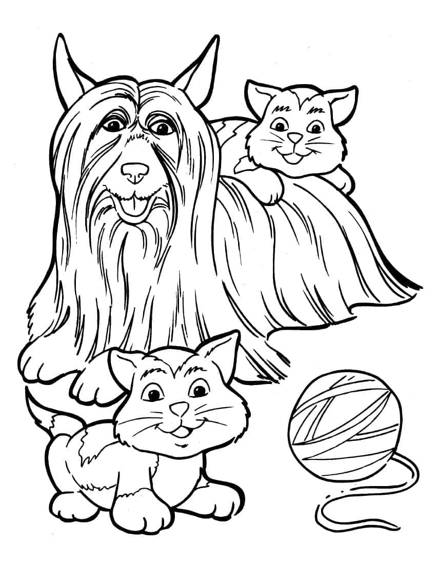 Desenho deGato e Cachorro 2 para colorir