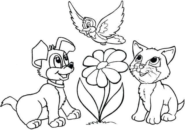 Desenho deGato e Cachorro 3 para colorir