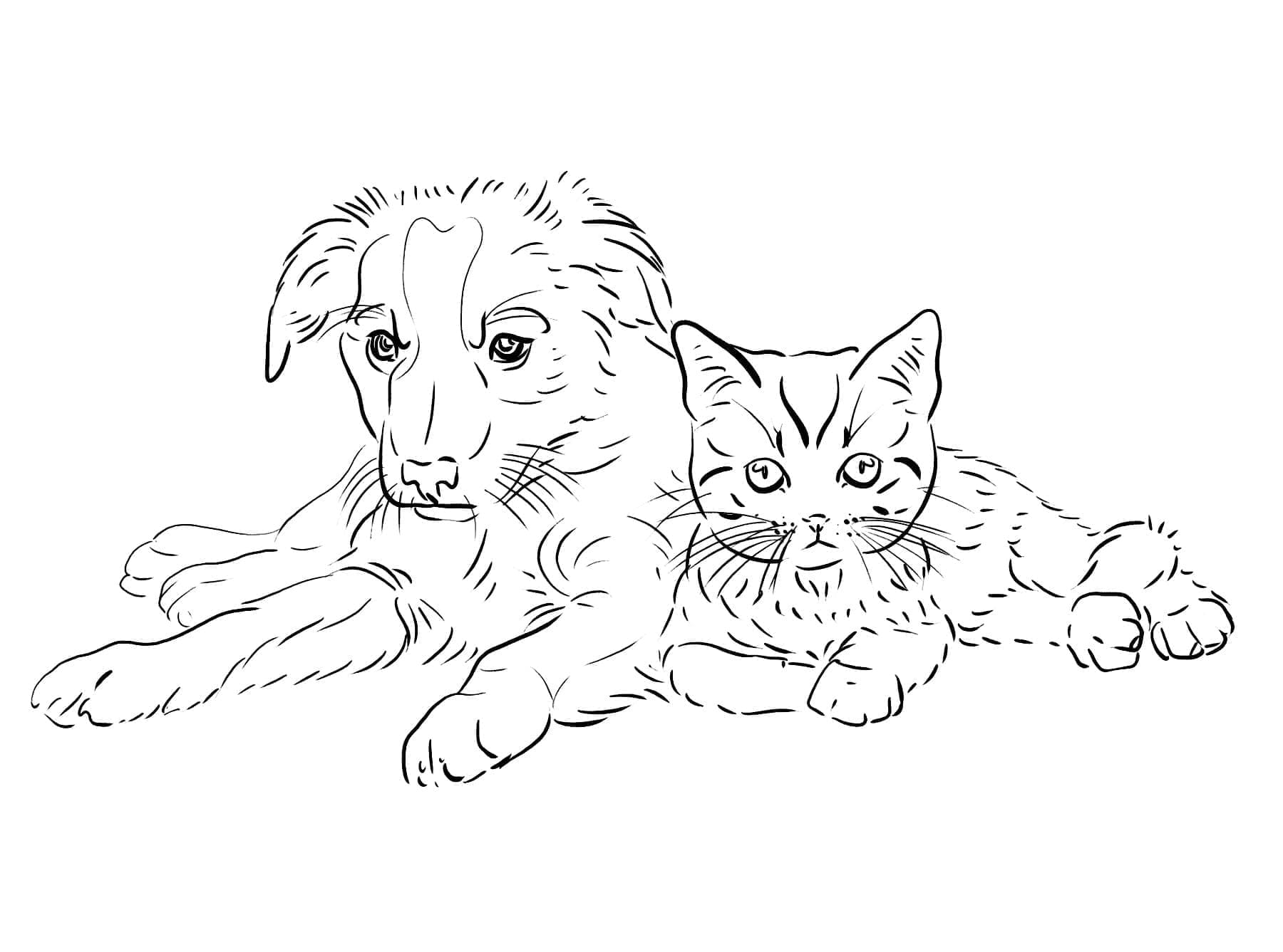 Desenho deGato e Cachorro Imprimível para colorir