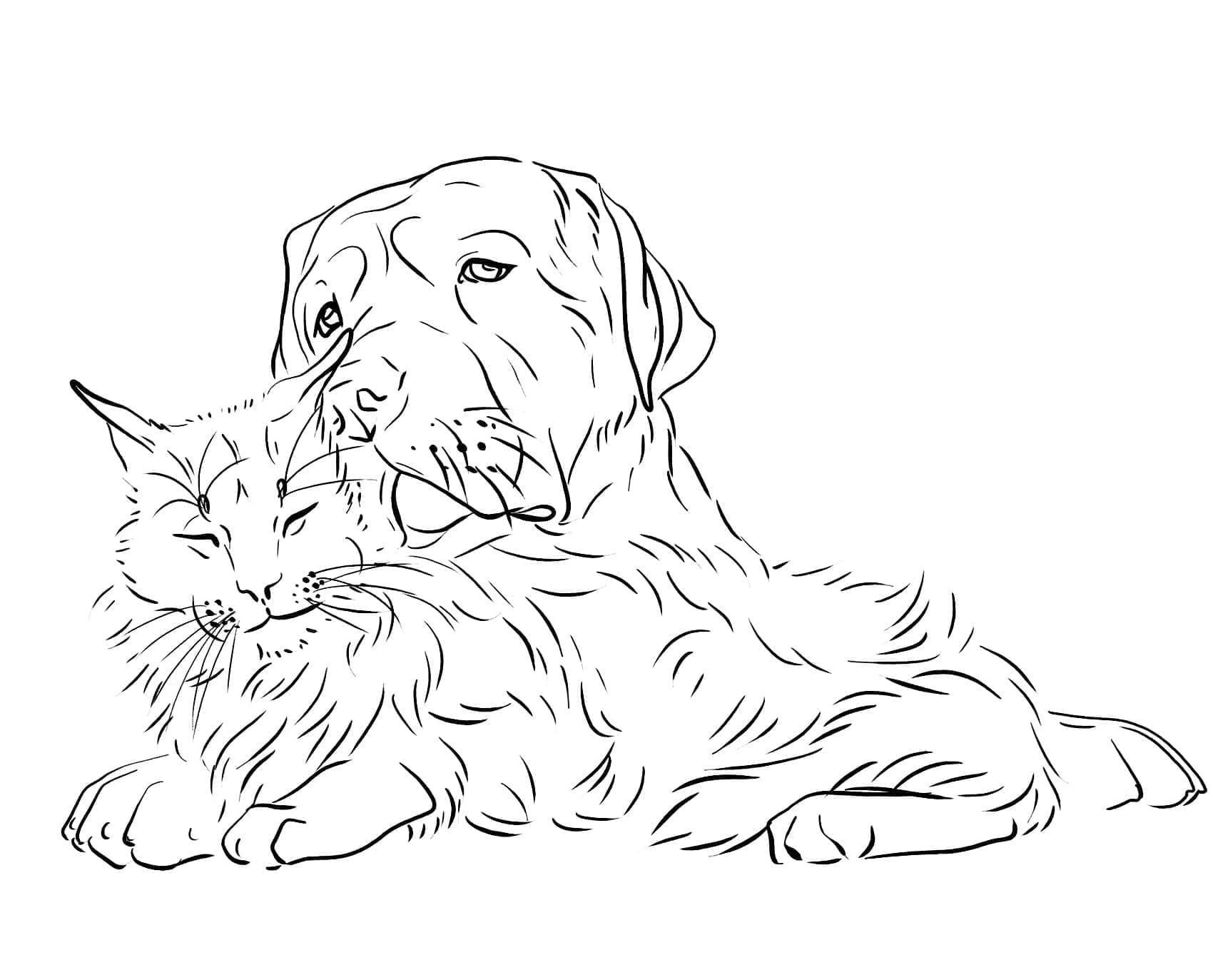 Desenho deGato e Cachorro Para Crianças para colorir