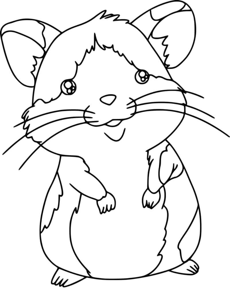 Desenho deHamster Adorável para colorir