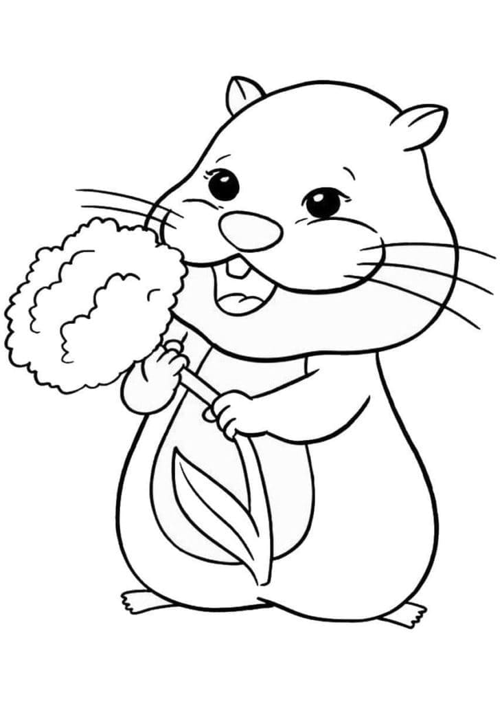 Desenho deHamster Animado para colorir