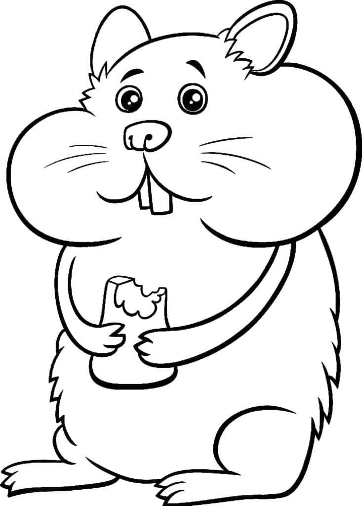 Desenho de Hamster Engraçado para colorir