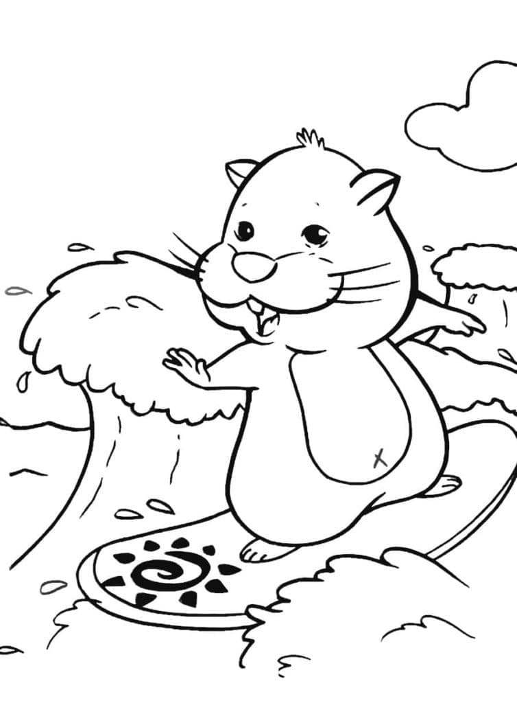 Desenho deHamster Surfista para colorir