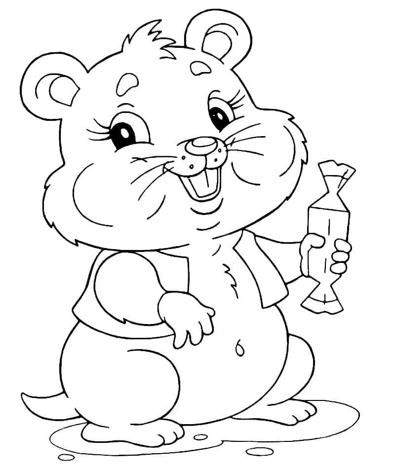 Desenho de Hamster de Desenho Animado para colorir