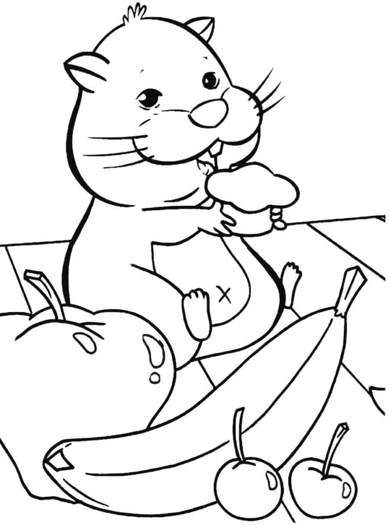 Desenho de Hamster e Frutas para colorir