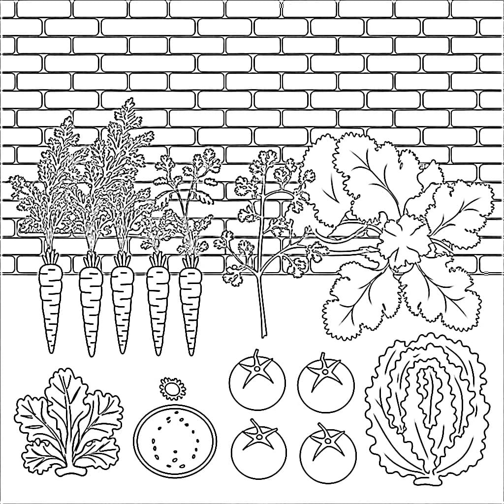 Desenho deHorta Para Crianças de 4 Ano para colorir