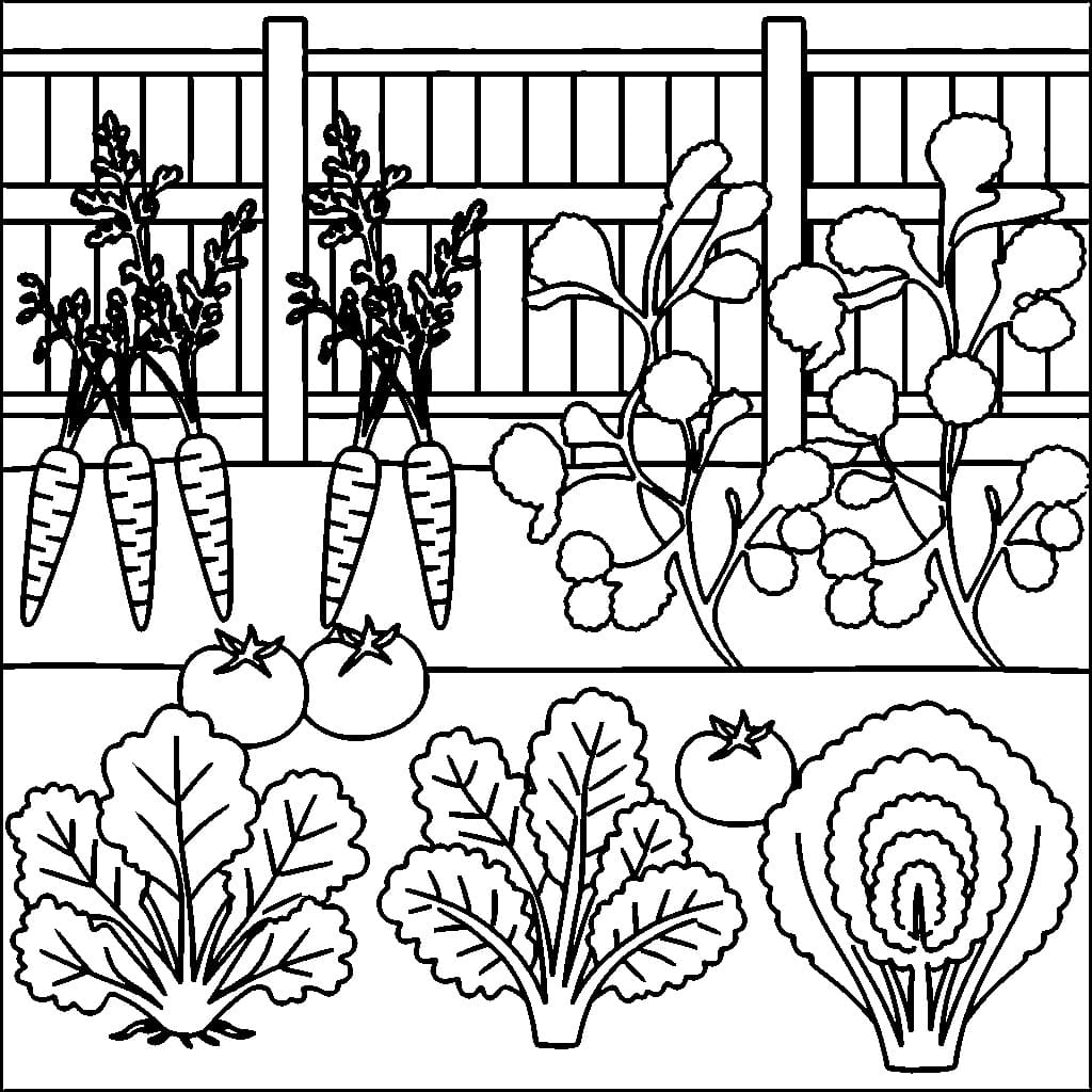 Desenho deHorta Para Crianças de 5 Ano para colorir