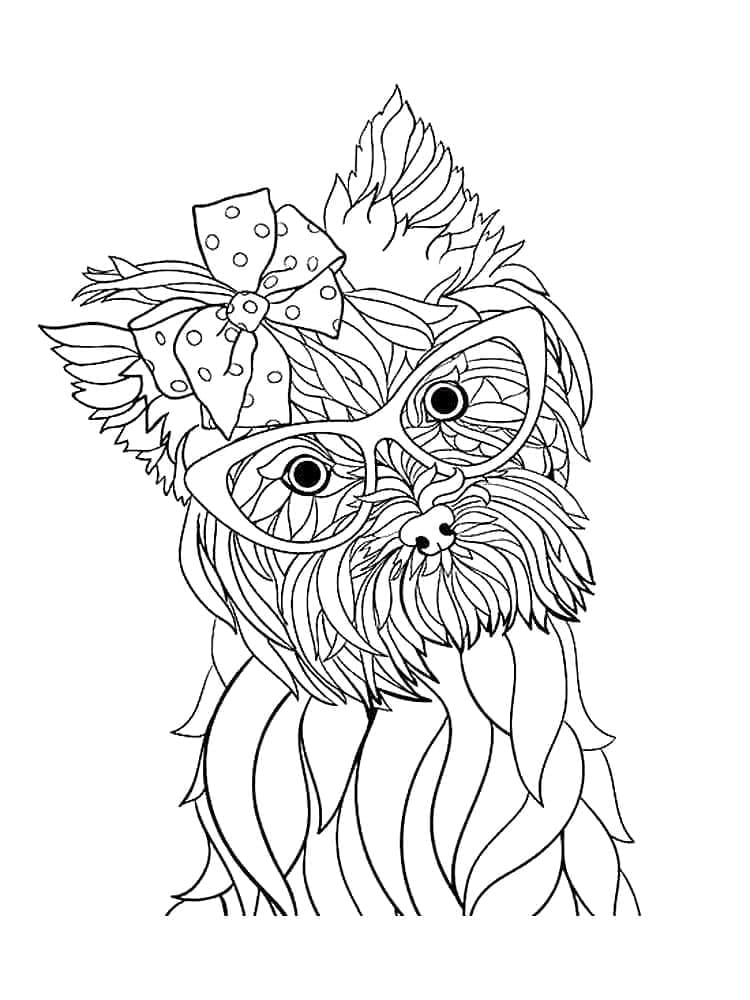 Desenho deImagem de Yorkshire Terrier para colorir