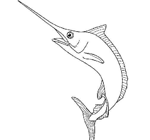 Desenho deImprimível Peixe Marlin para colorir