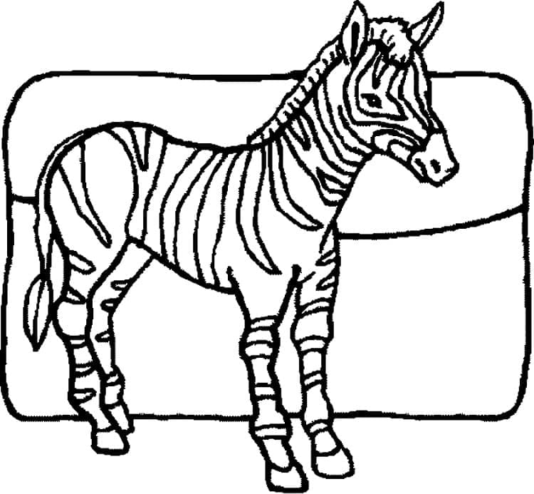 Desenho deImprimível Zebra para colorir