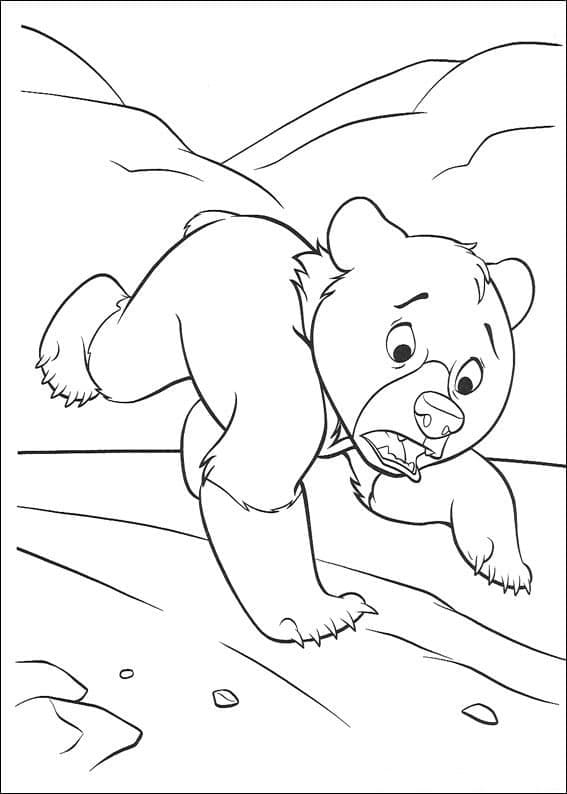 Desenho deIrmão Urso 11 para colorir