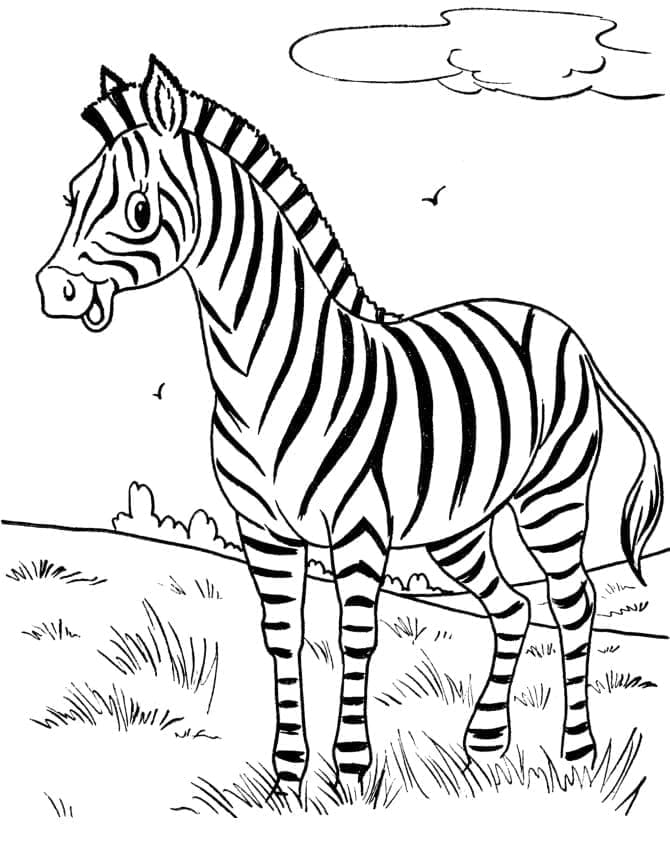 Desenho deLinda Zebra para colorir