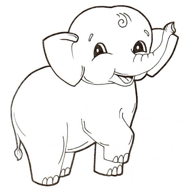 Desenho deLindo Elefante para colorir