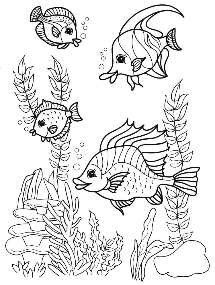 Desenho de Lindos Peixes para colorir