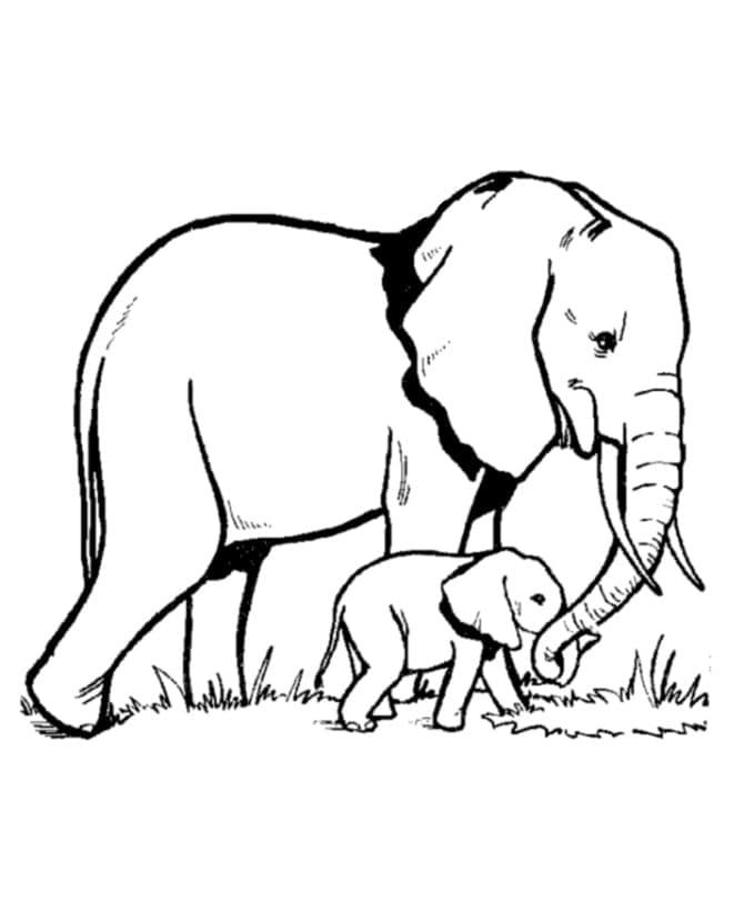 Desenho deMãe e Bebê Elefante para colorir