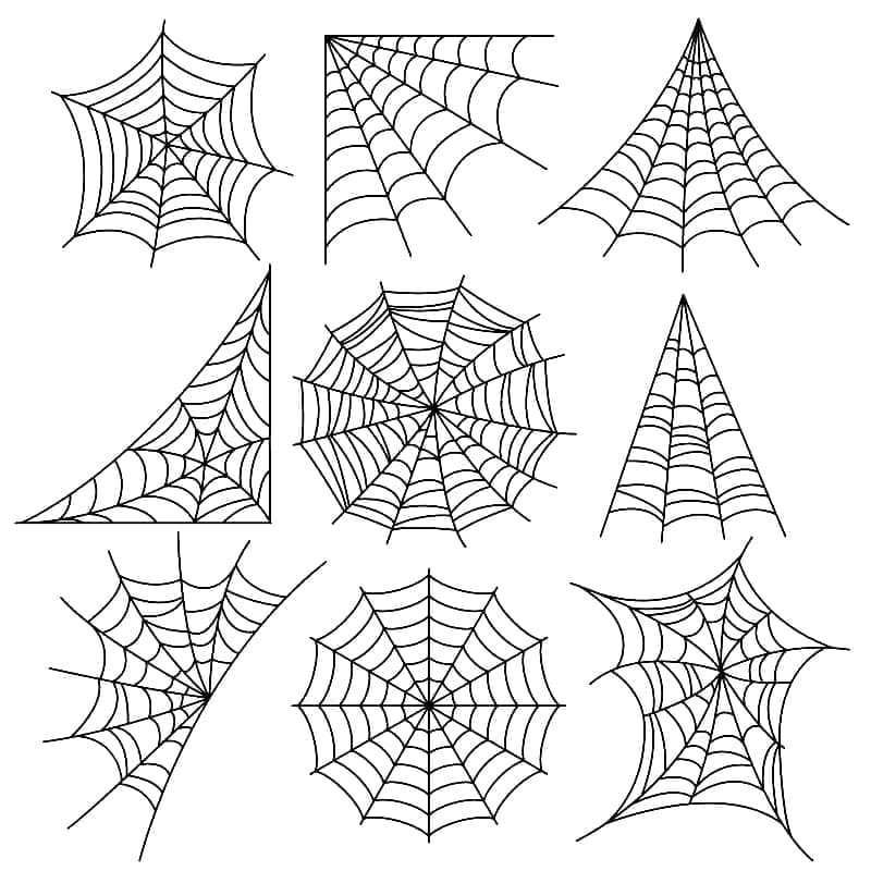 Desenho deMuitas Teias de Aranha para colorir