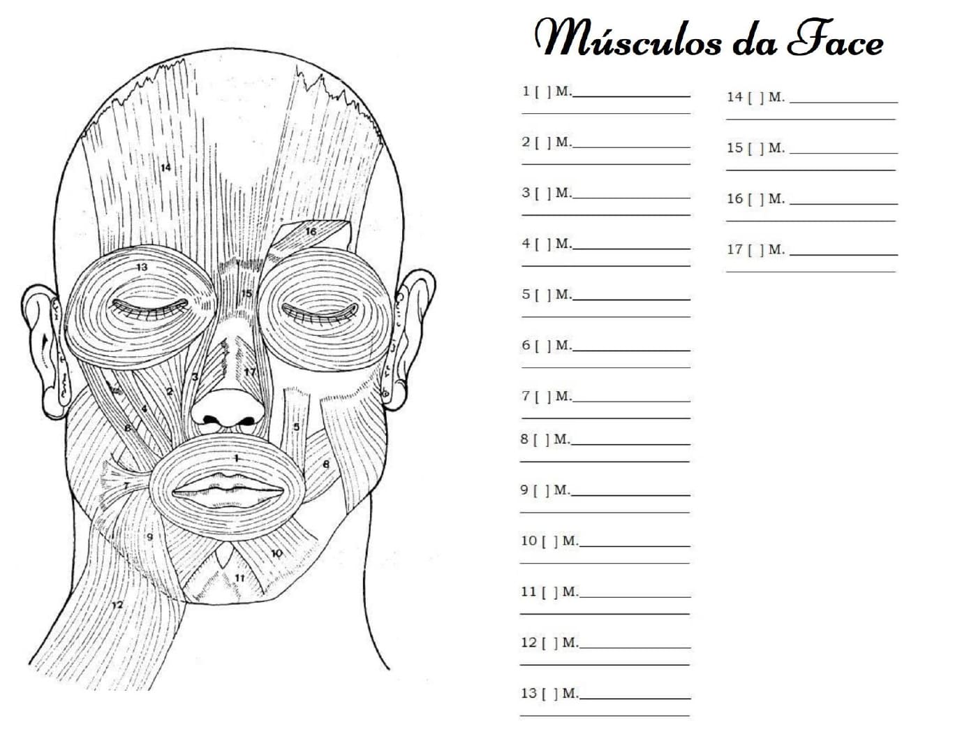 Desenho deMusculos da Face Imprimível para colorir