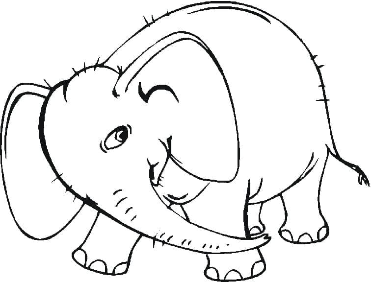 Desenho deO Elefante para colorir