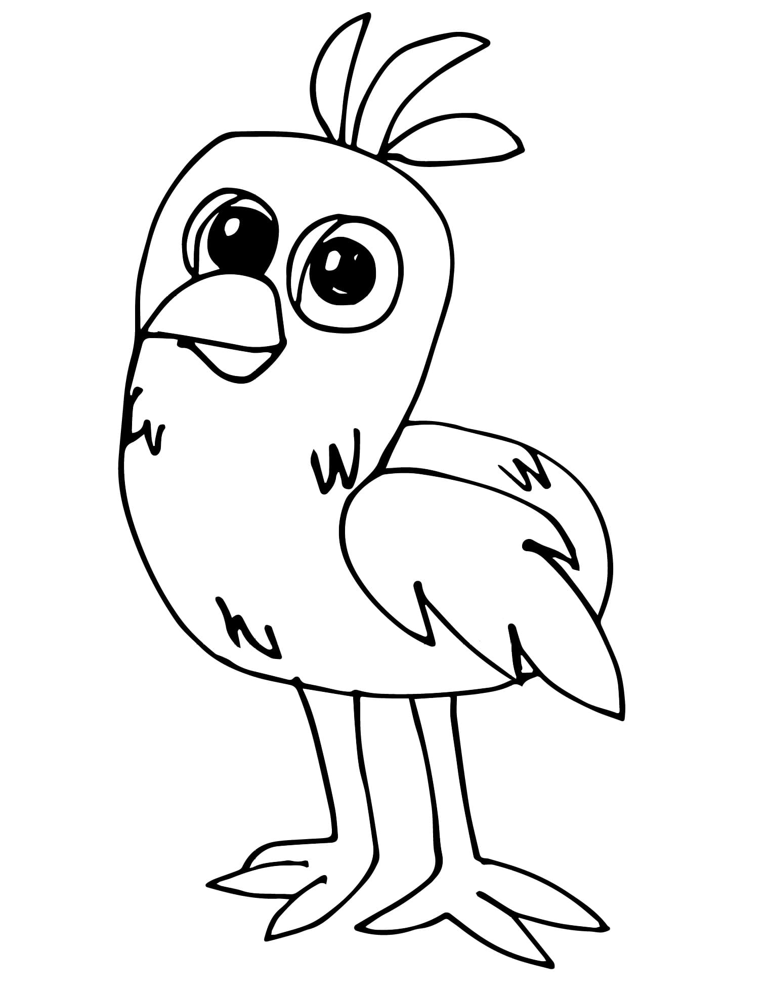 Desenho deOpila Bird 4 para colorir