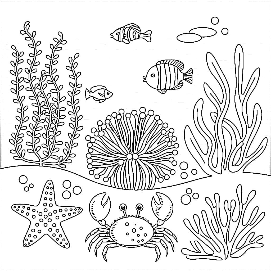 Desenho dePaisagem Fundo do Mar para colorir