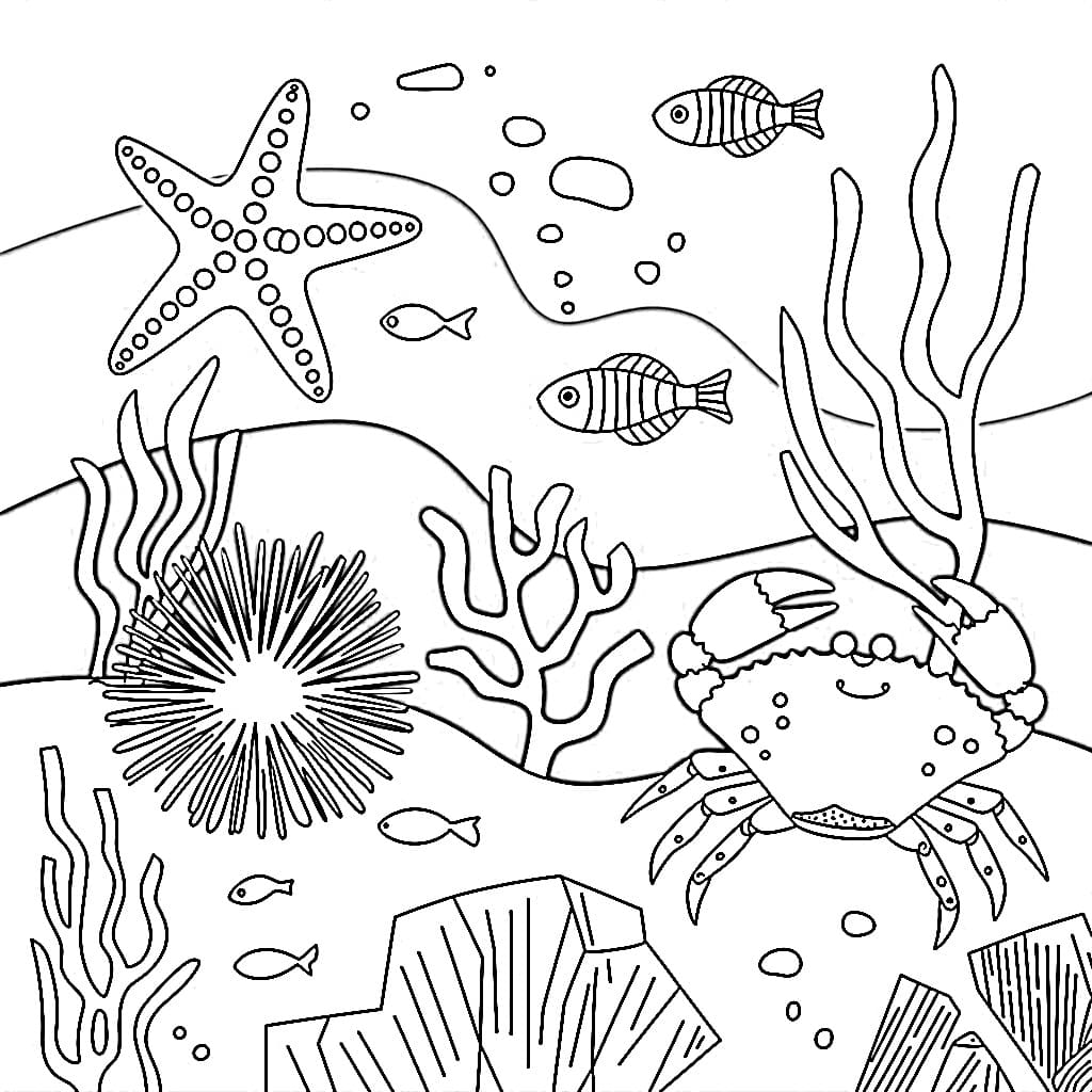 Desenhos de Fundo do Mar para colorir