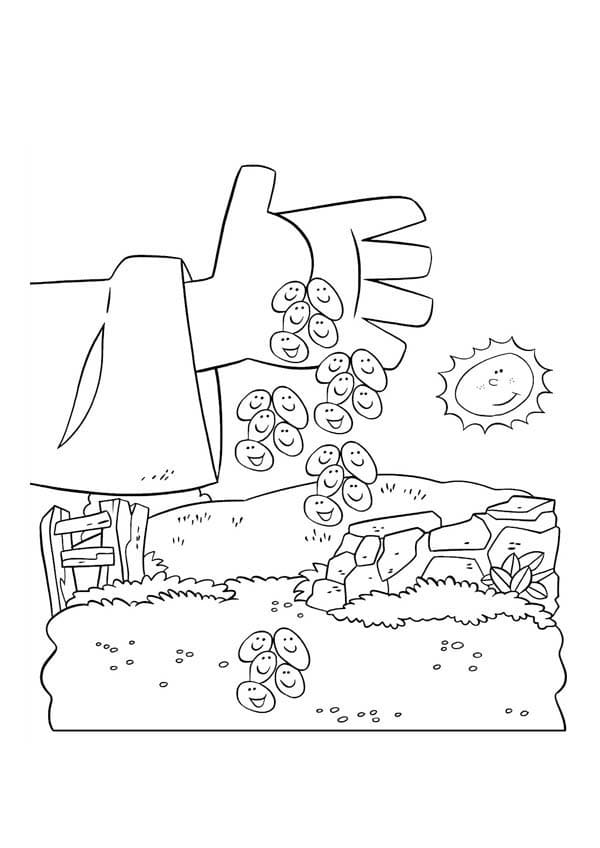 Desenho deParábola do Semeador Para Crianças de 6 Ano para colorir