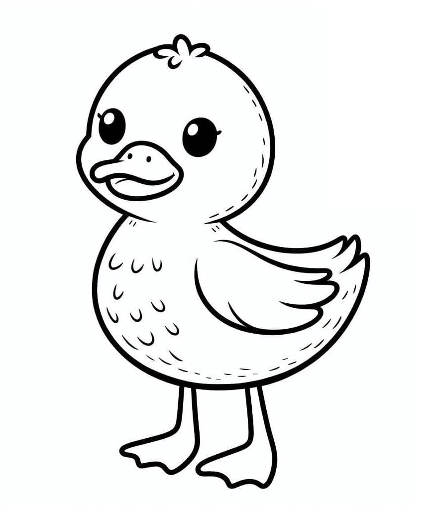 Desenho dePato Pequeno e Fofo para colorir