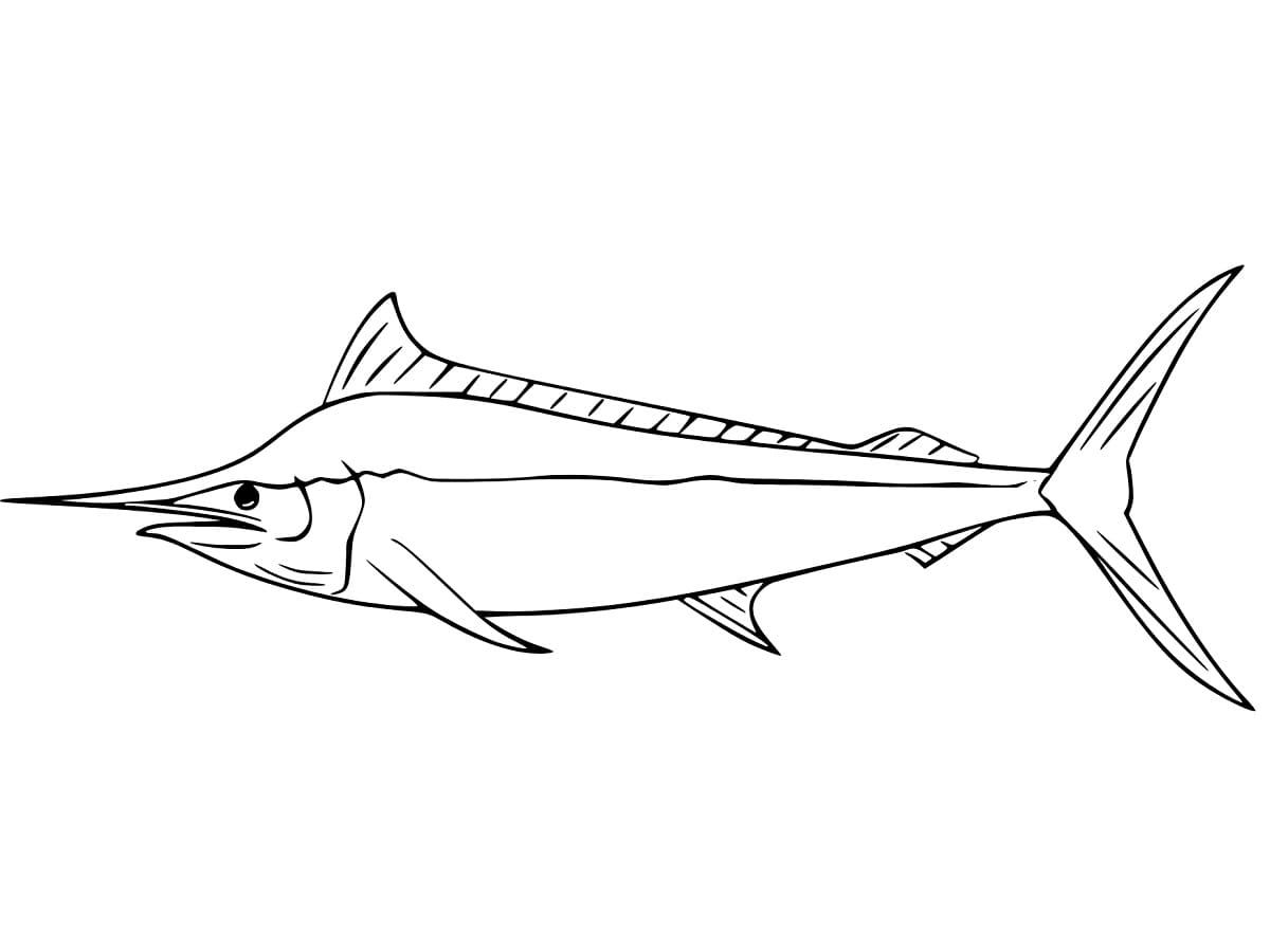 Desenho dePeixe Marlin Simples para colorir