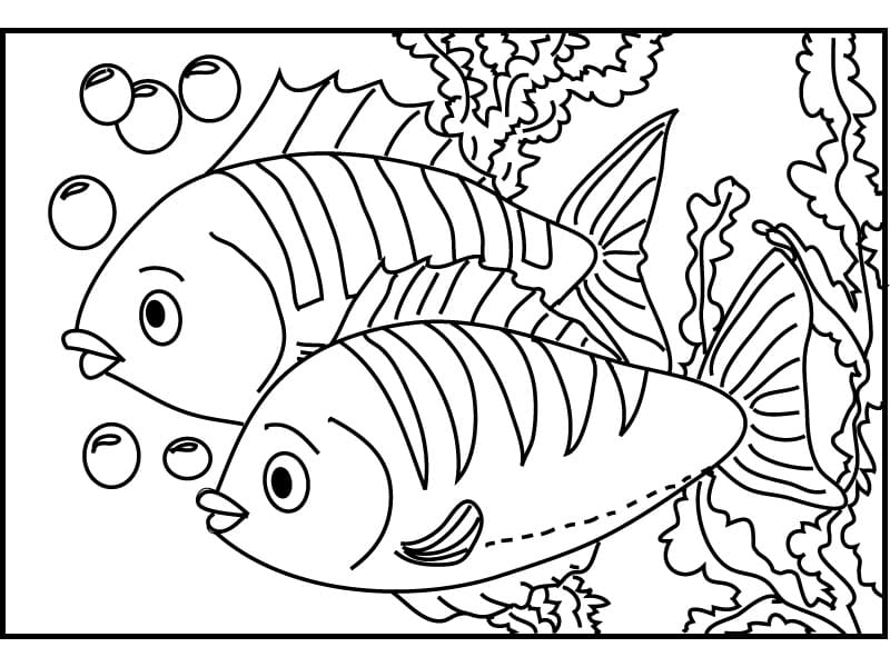 Desenho dePeixes para colorir