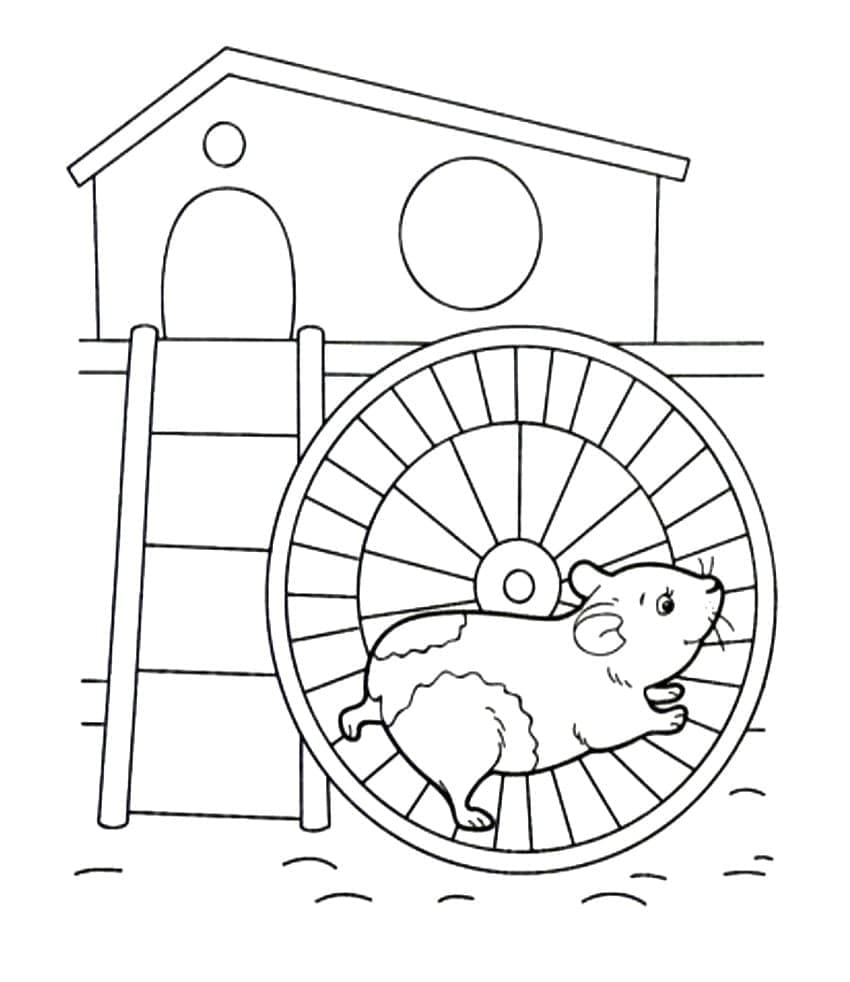 Desenho de Pequeno Hamster para colorir