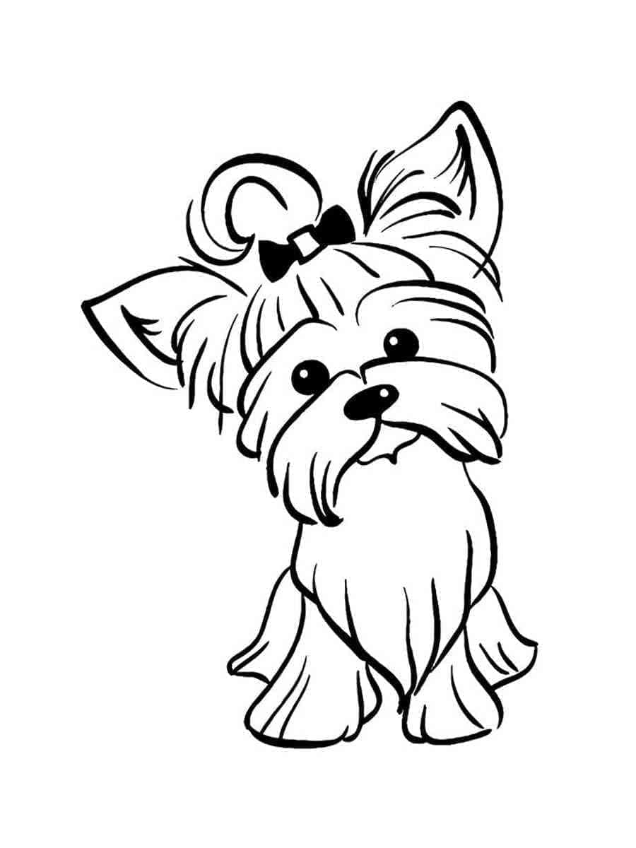 Desenho dePequeno Yorkshire Terrier para colorir