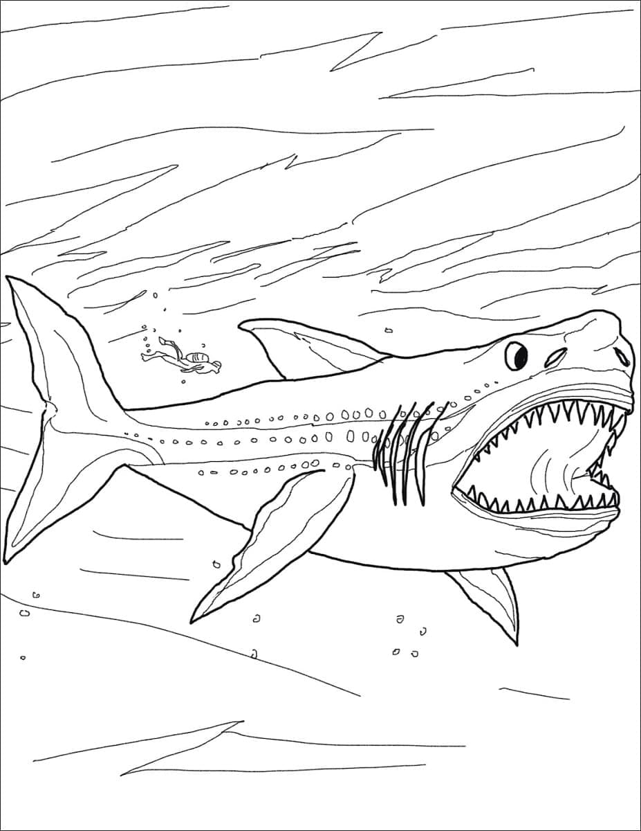 Desenho dePintura de Megalodon para colorir