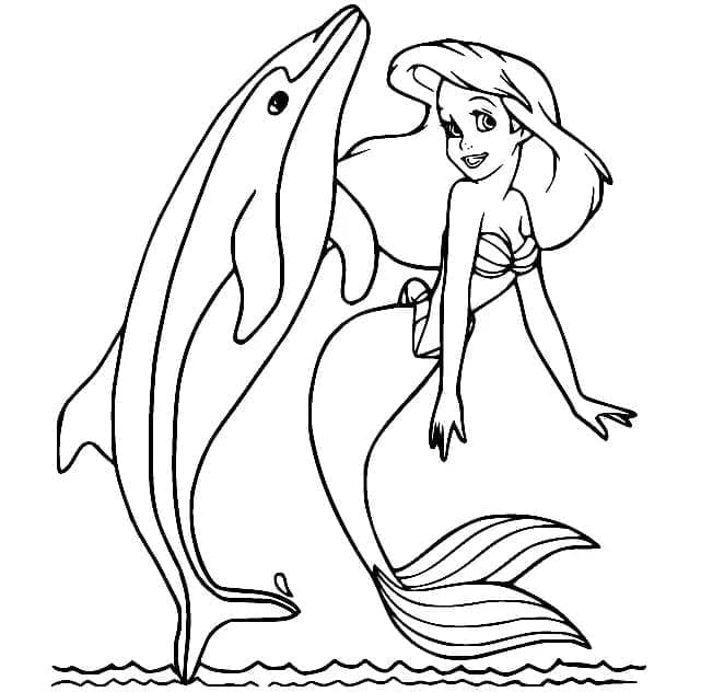 Desenho dePrincesa Ariel e Golfinho para colorir