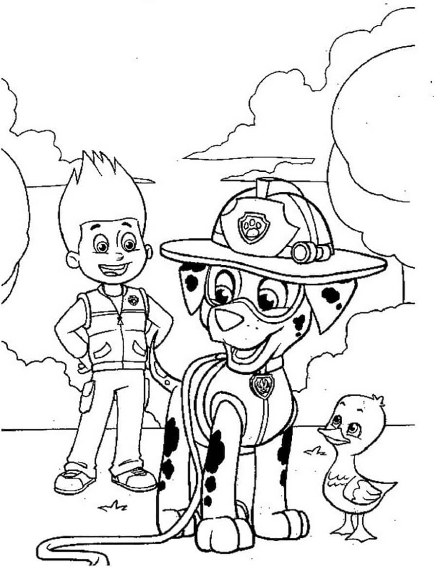 Desenho deRyder e Marshall Patrulha Canina para colorir