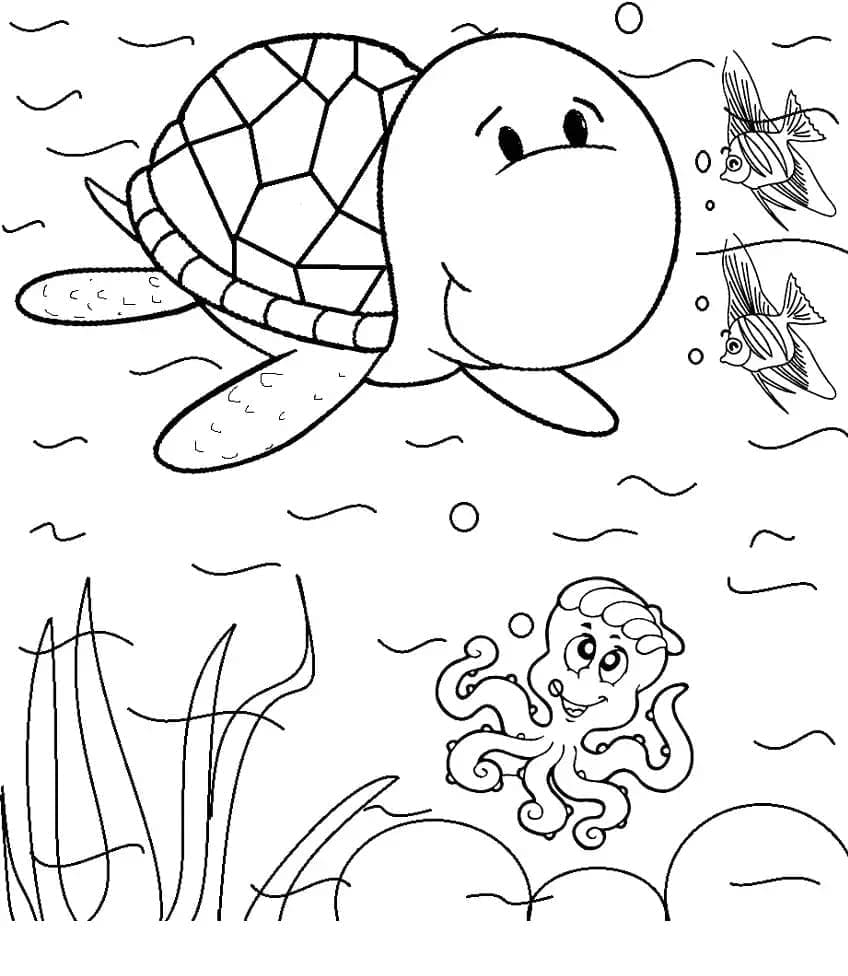 Desenho de Tartaruga e Polvo para colorir