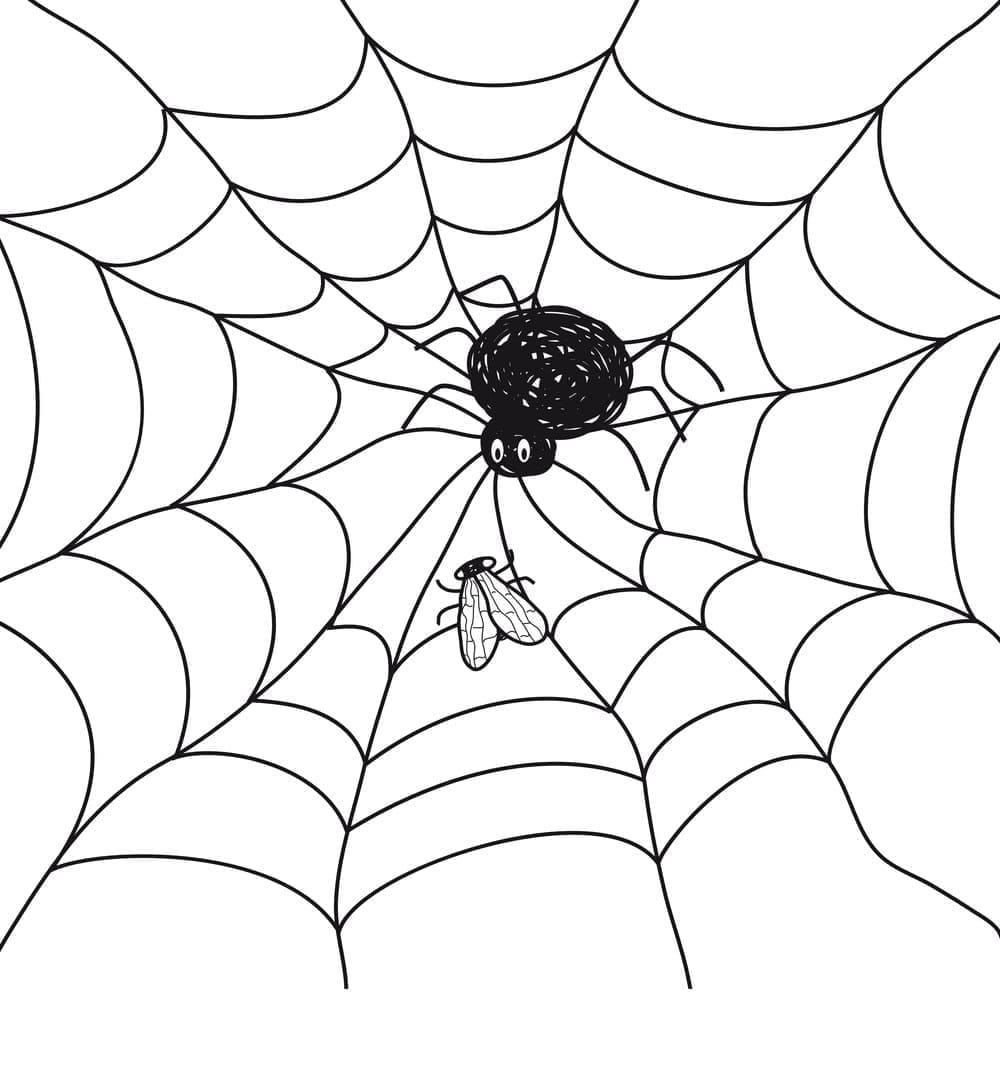 Desenho deTeia de Aranha 3 para colorir