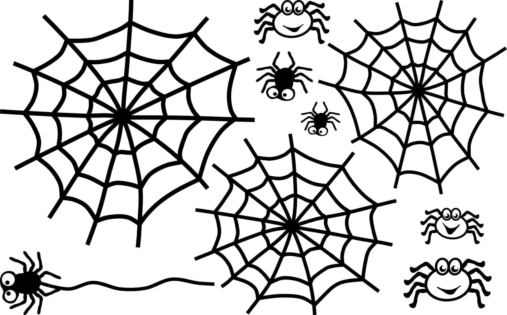 Desenho deTeia de Aranha 5 para colorir