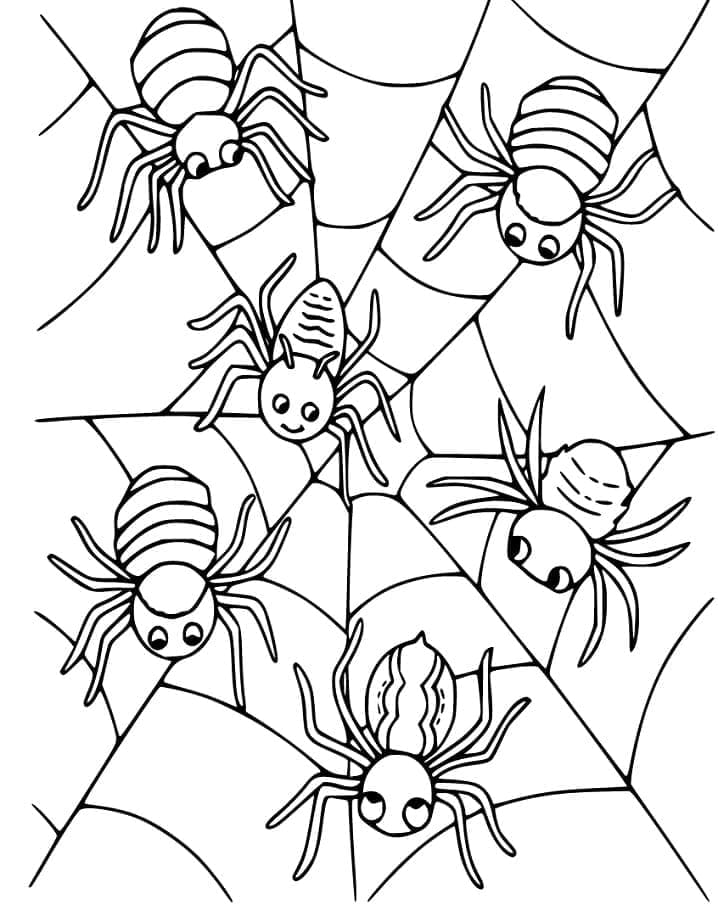 Desenho deTeia de Aranha 6 para colorir