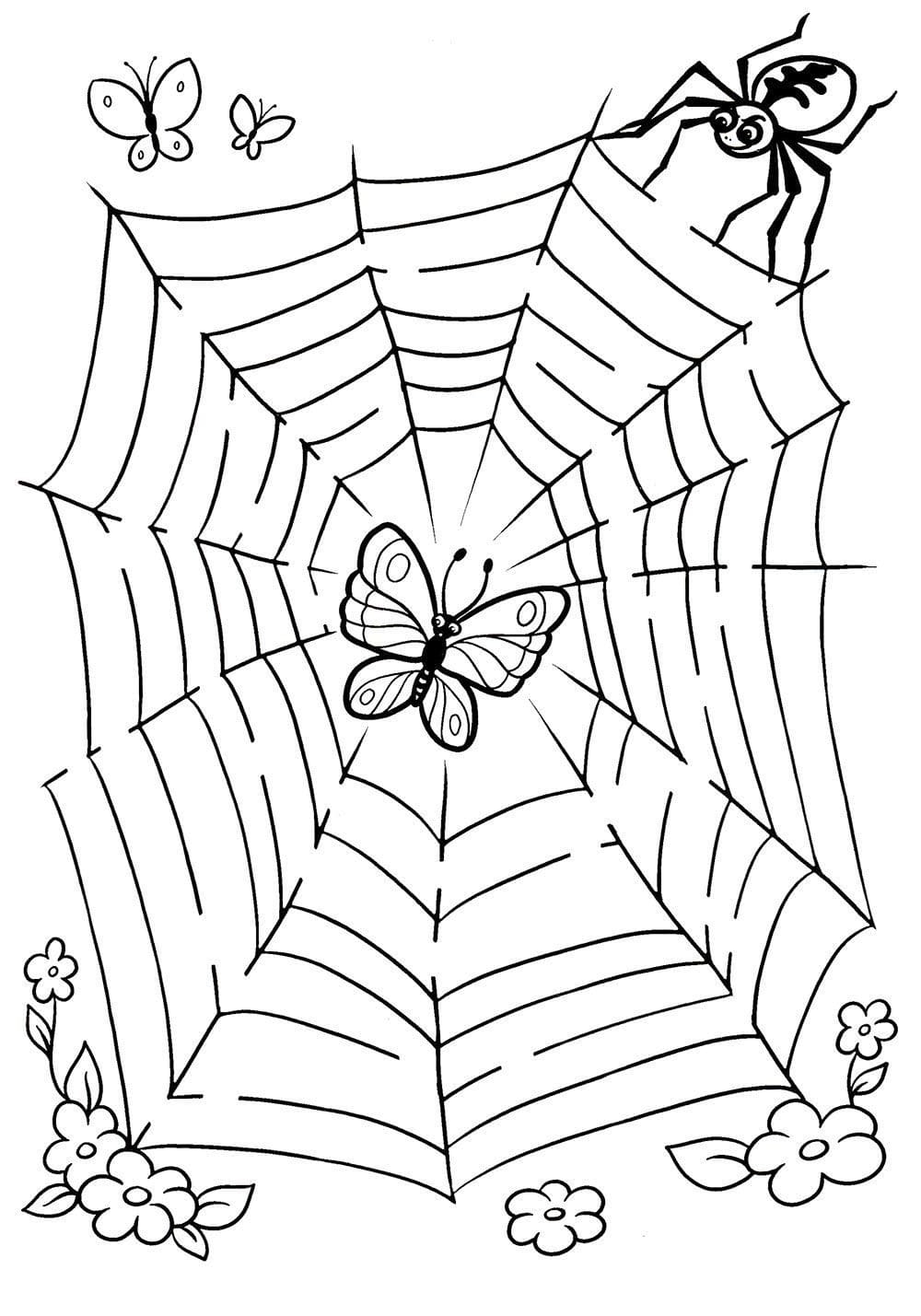 Desenho deTeia de Aranha Grátis Para Crianças para colorir